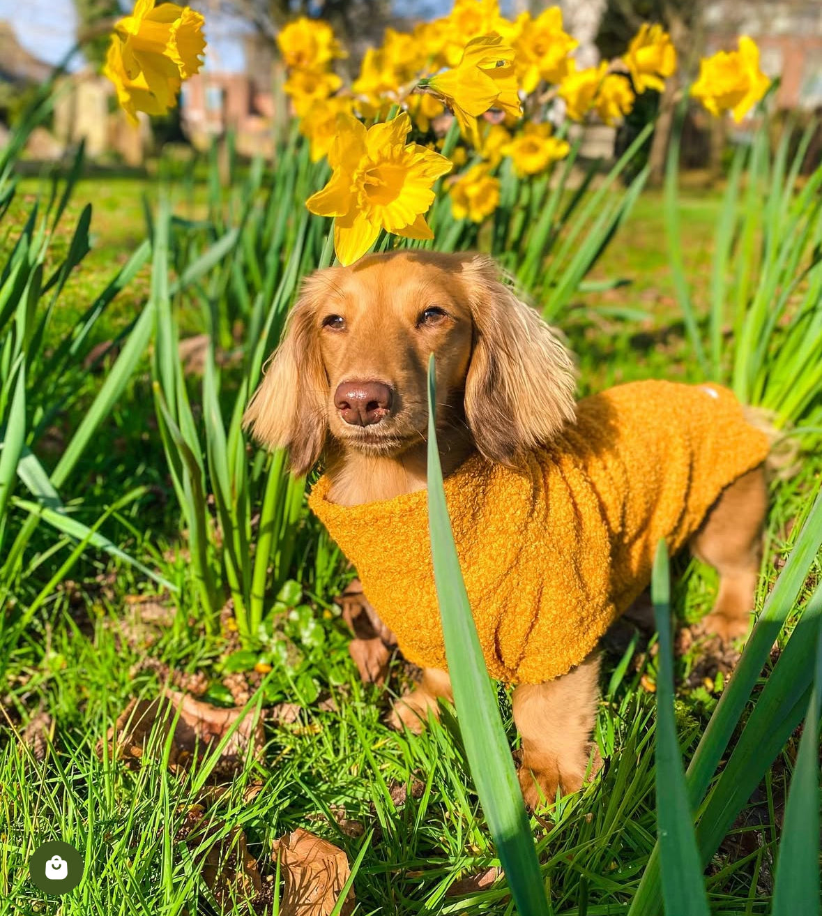 Mustard Borg Cosy Jumper