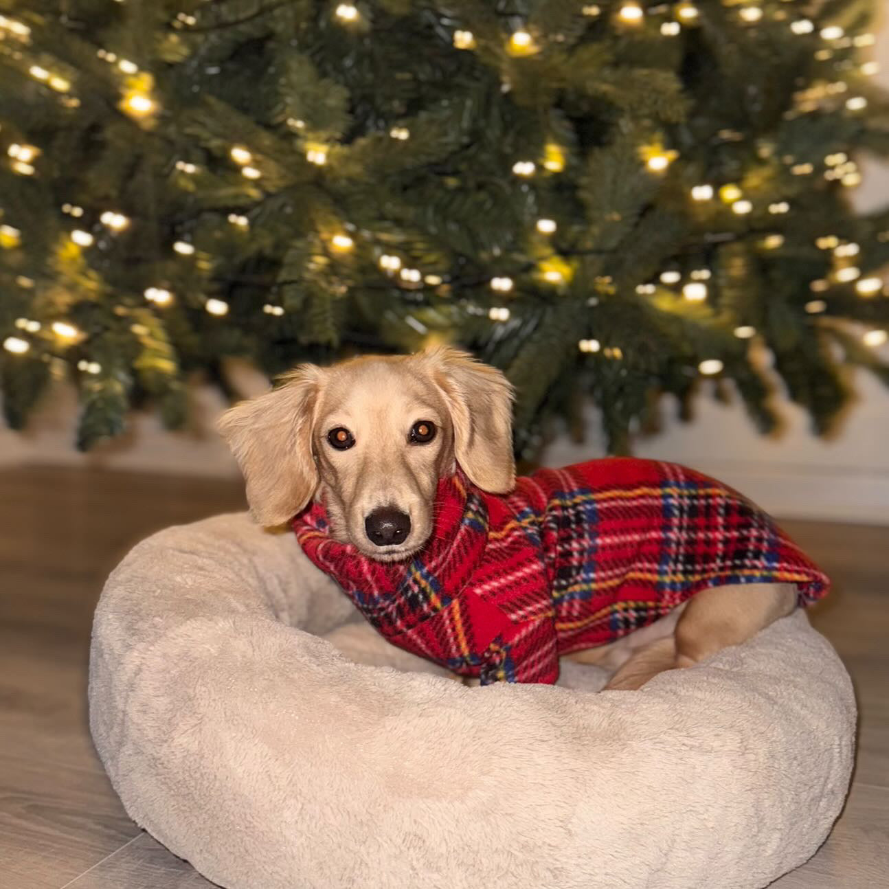 Red Tartan Fleece Jumper