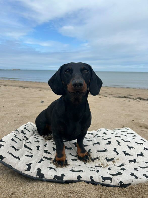Dachshund Pub & Picnic Settle Mat
