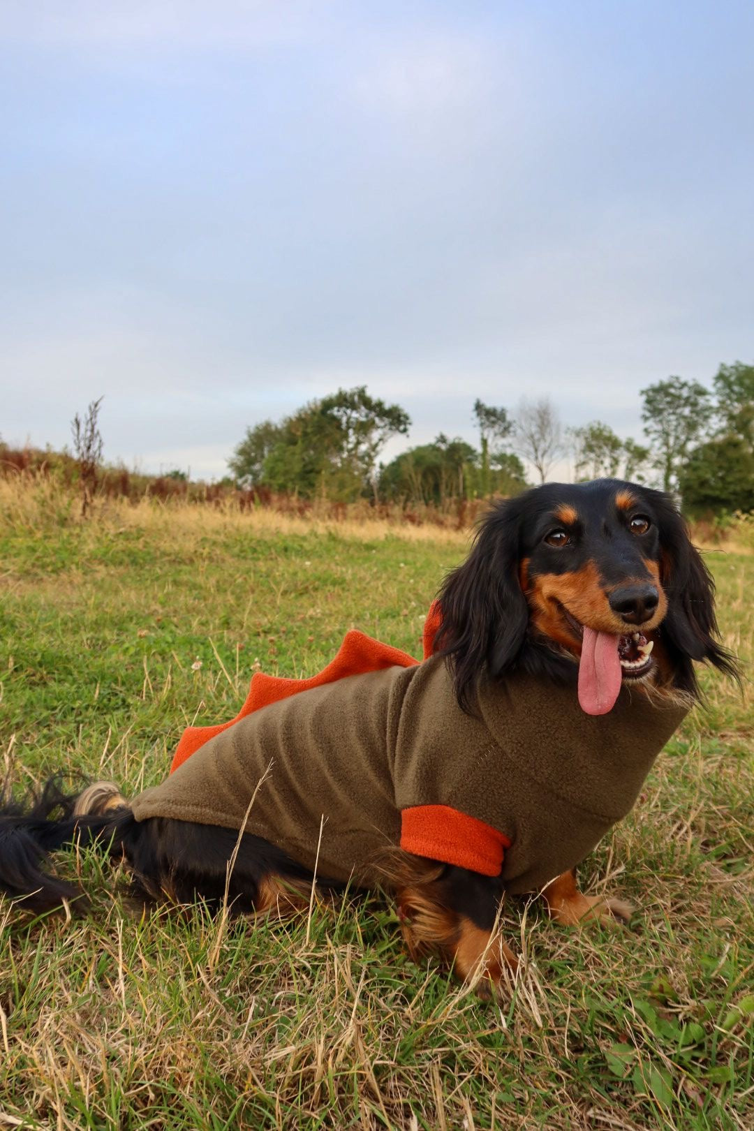 Jurassic Bark Fleece Jumper