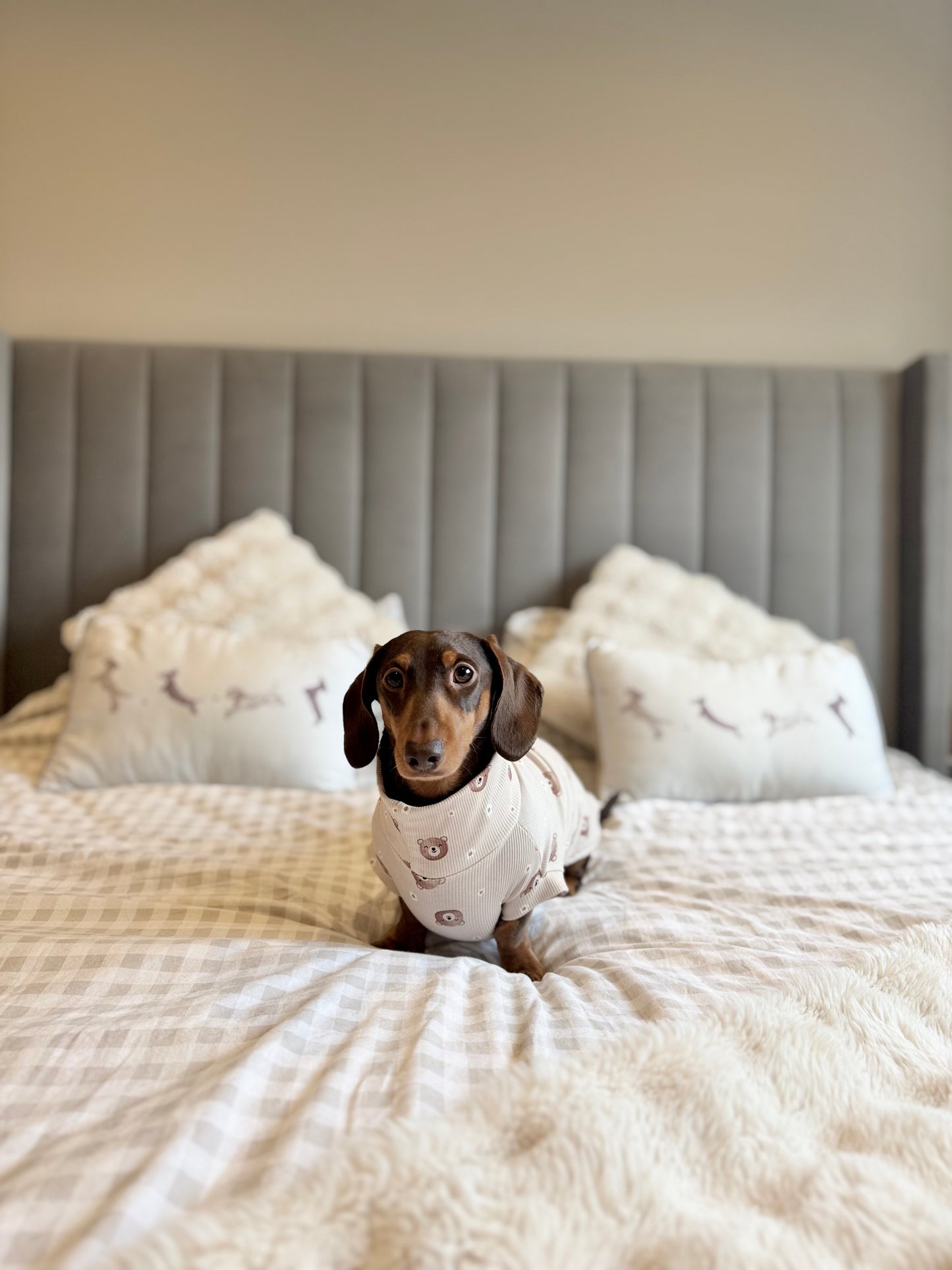 Daisy Bear Fine Rib Knit Jersey Jammies