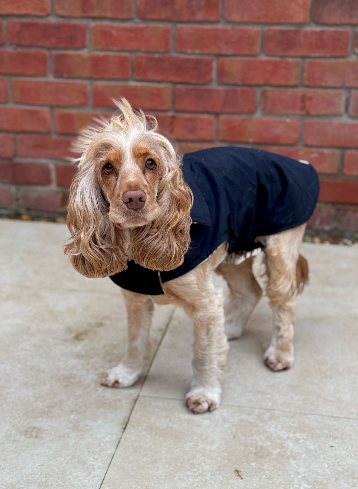 Black Waterproof Jacket with Fleece Lining