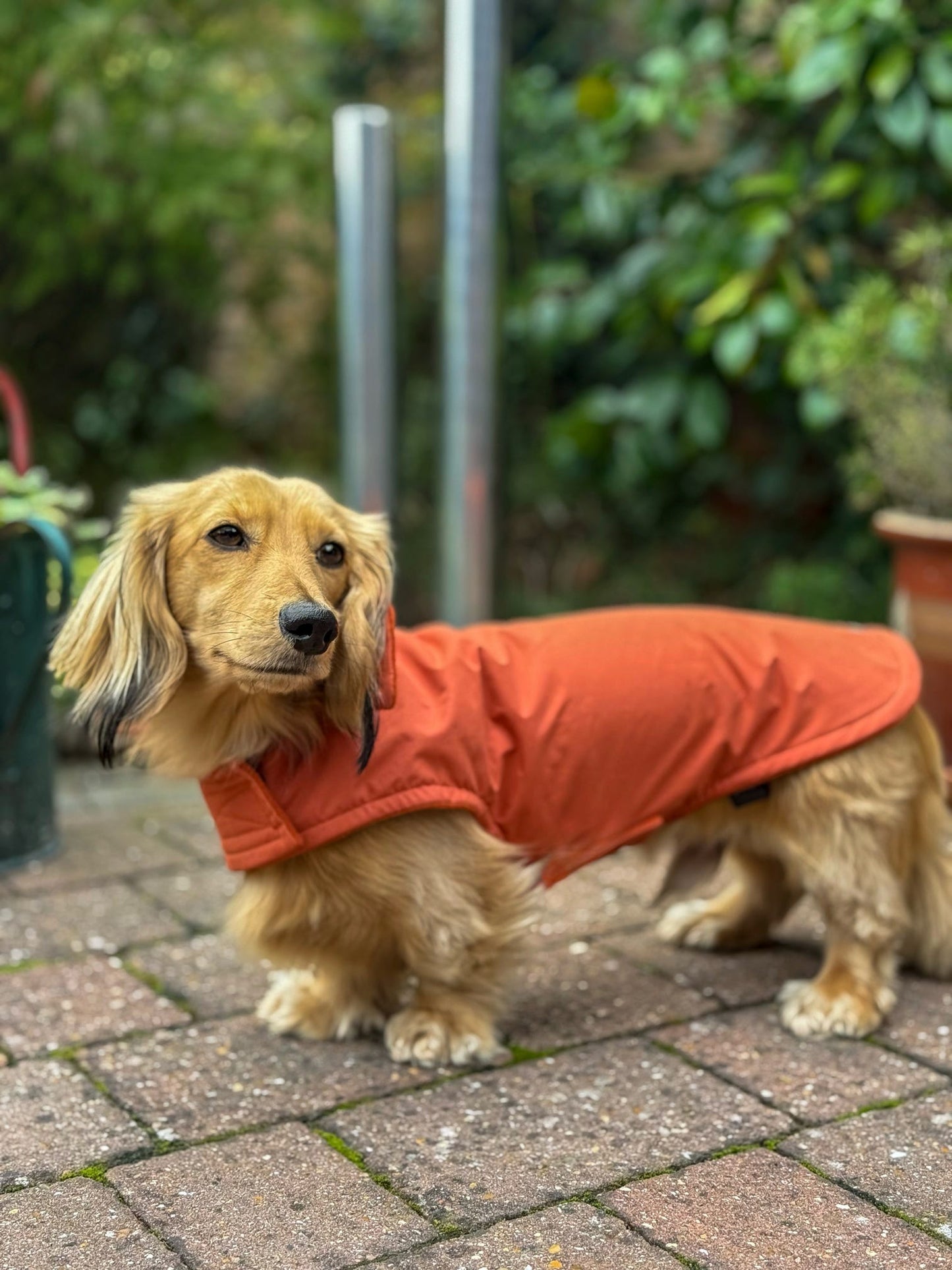 Rust Waterproof Jacket with Fleece Lining