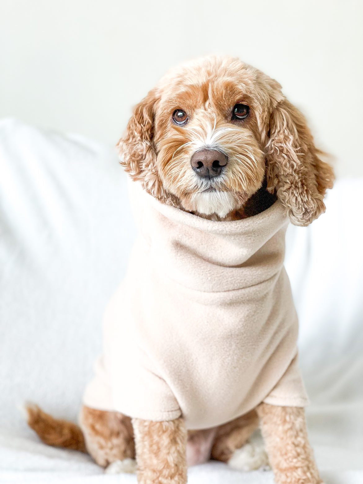 Beige Fleece Jumper