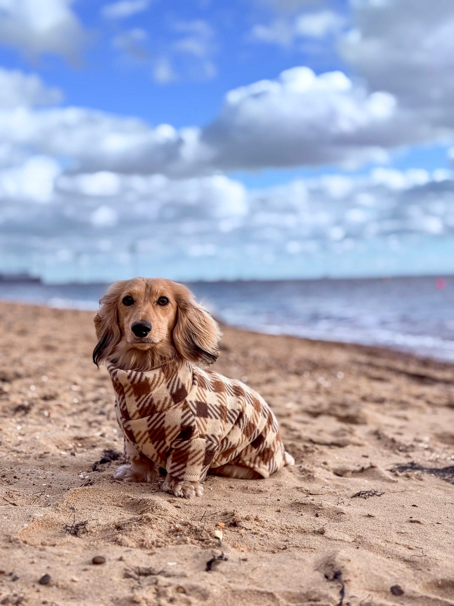Brown Plaid Fleece Jumper