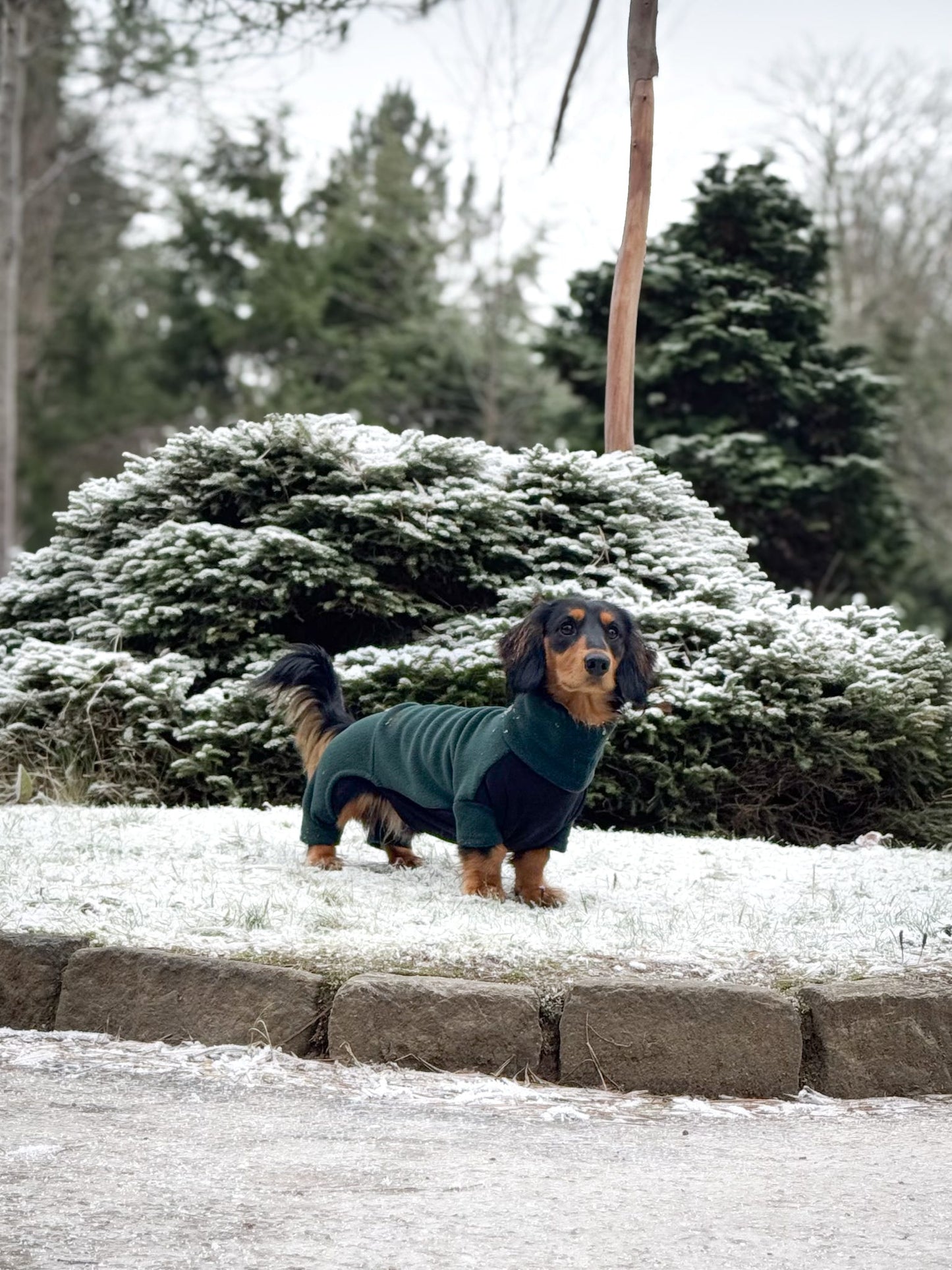 Dark Green 4 Leg Fleece Jumper