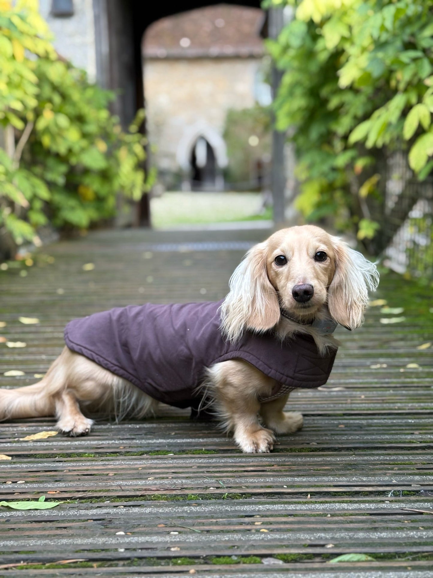 Chocolate Waterproof Jacket with Fleece Lining