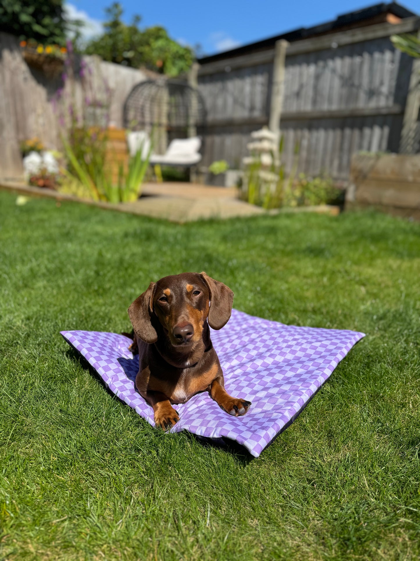 Parma Violet Pub & Picnic Mat