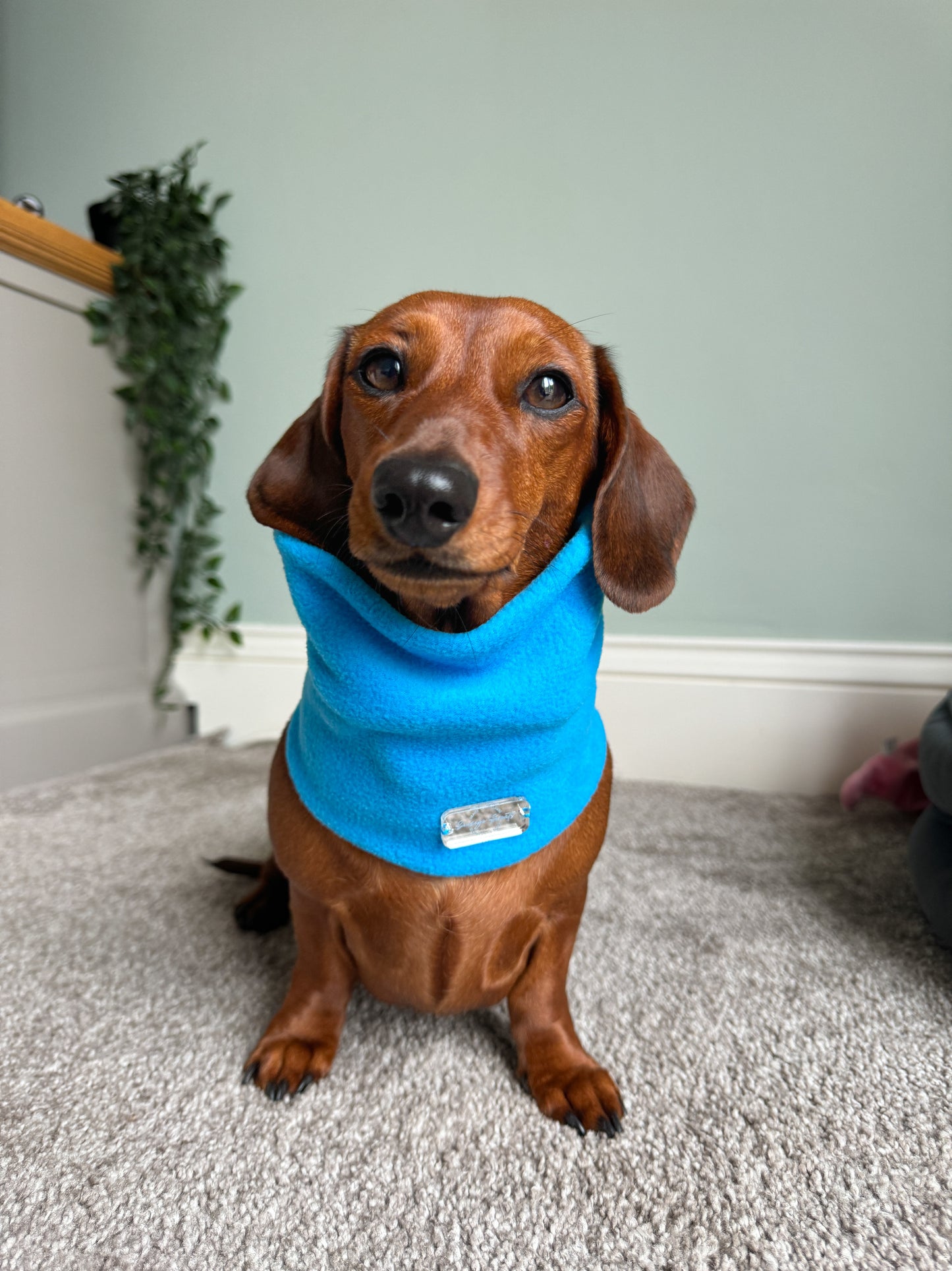 Turquiose Fleece Snood