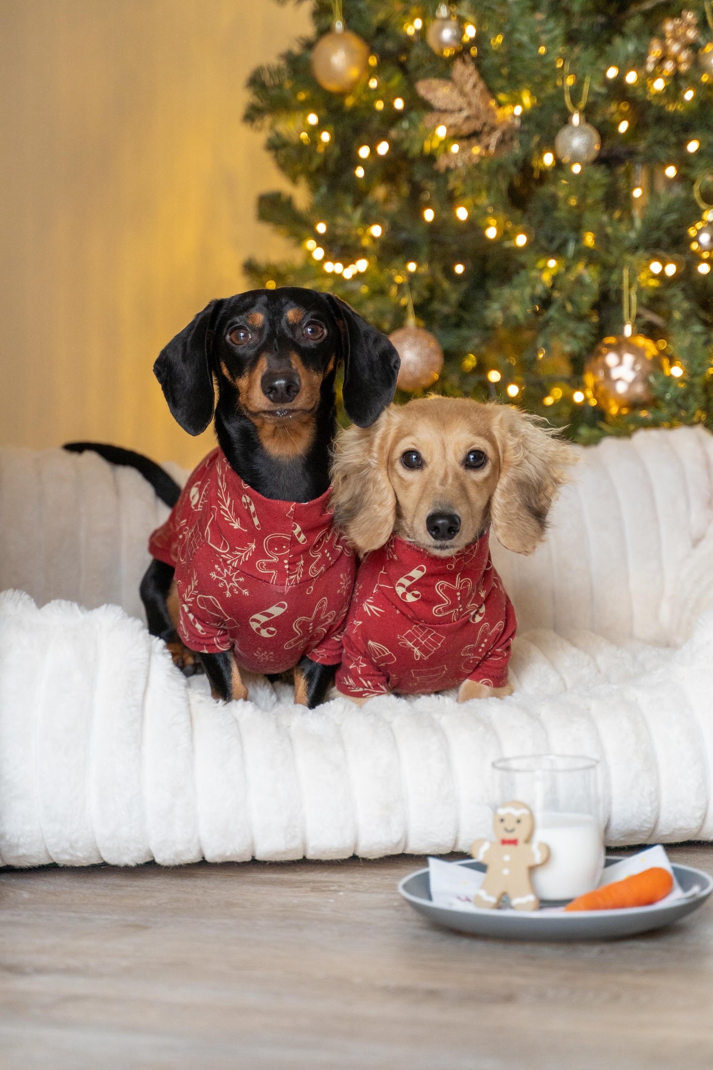 Christmas Gingerbread Man Cotton Jersey Jammies