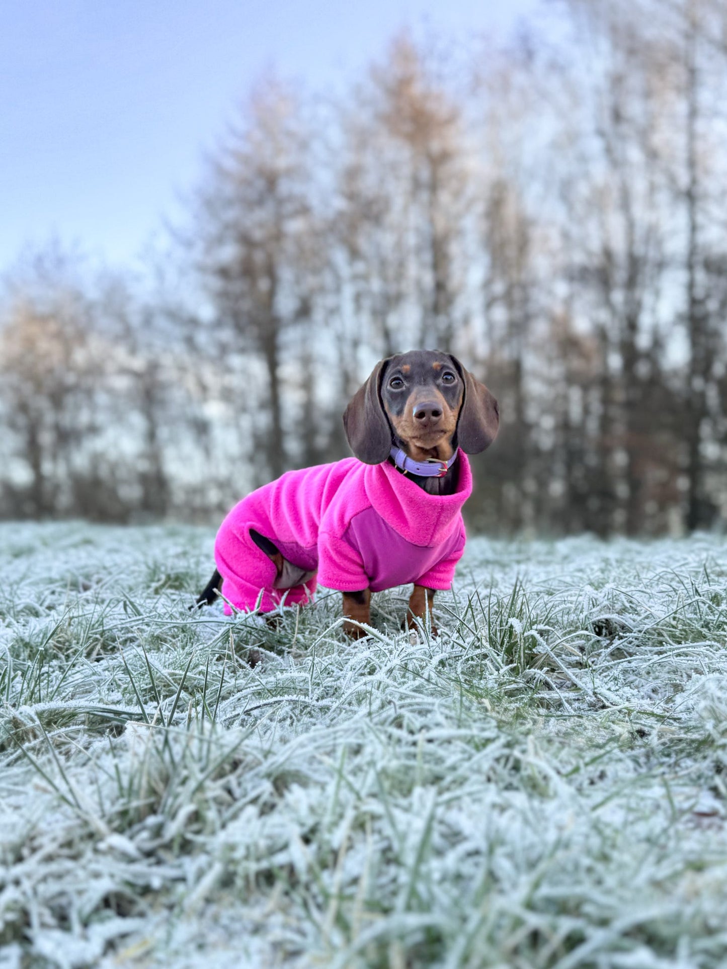 Cerise Pink 4 Leg Fleece Jumper