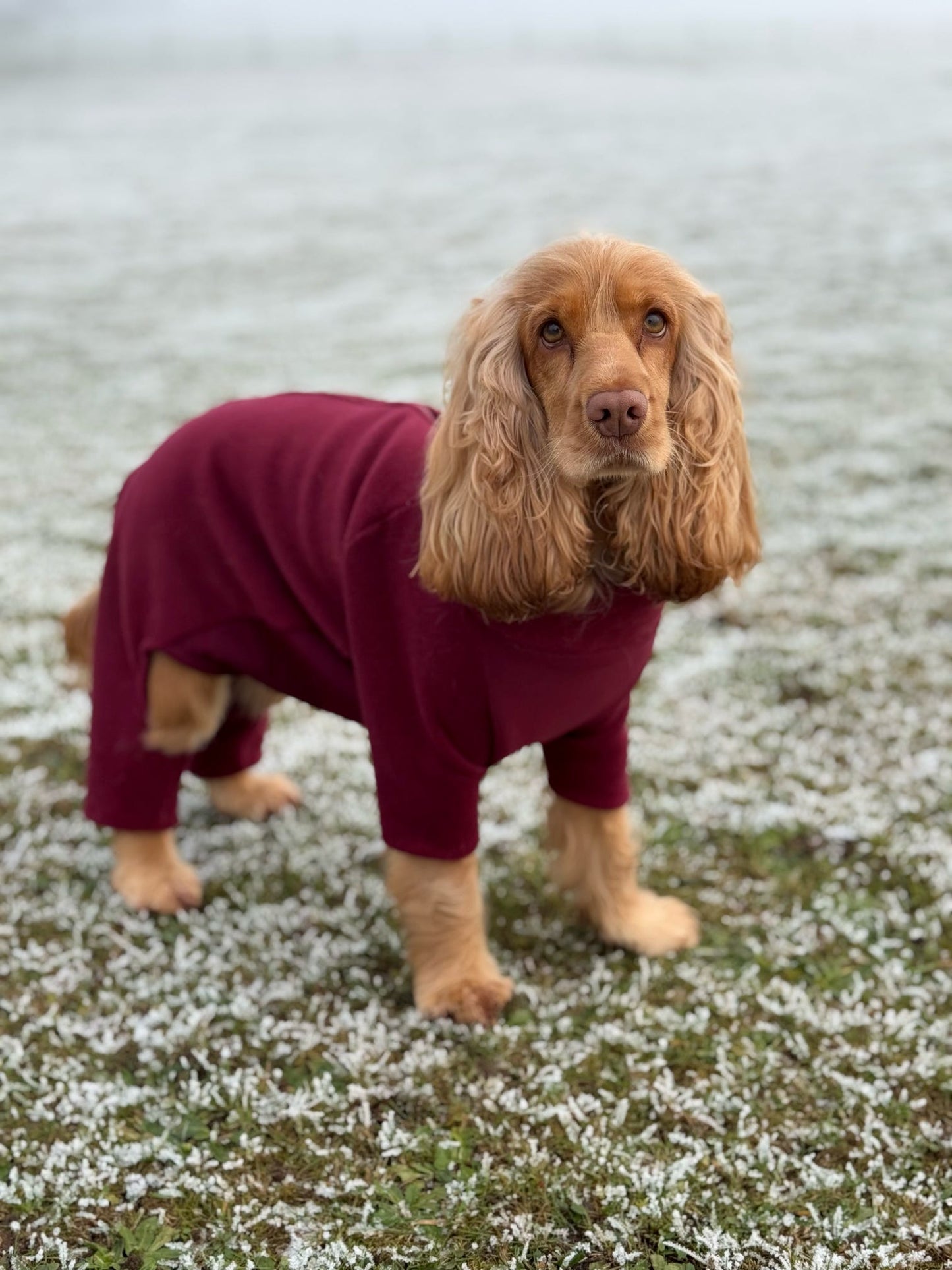 Wine 4 Leg Fleece Jumper