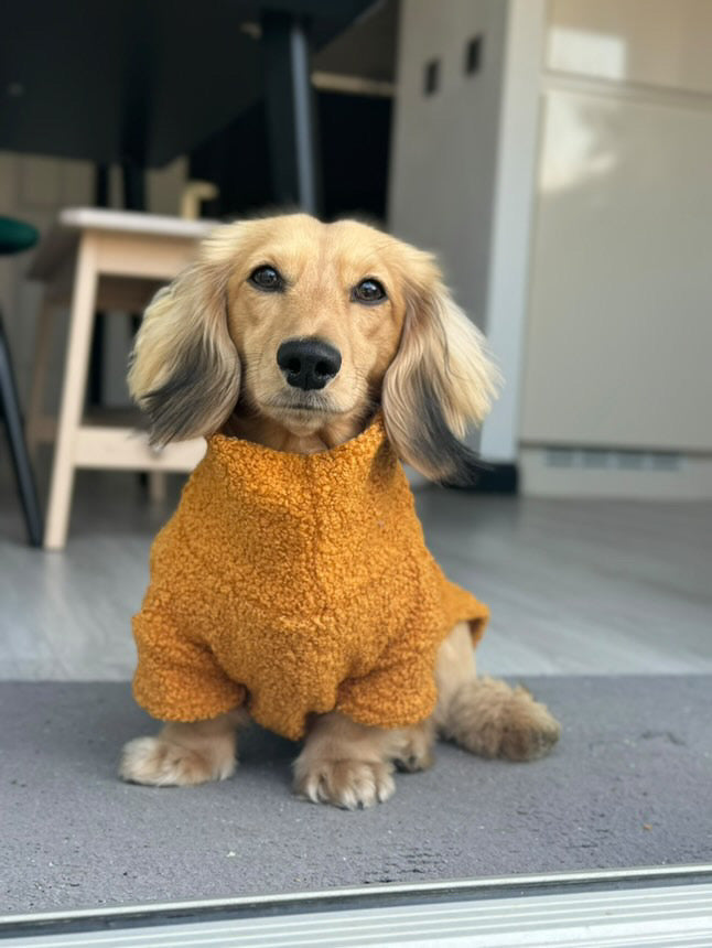 Mustard Borg Cosy Jumper