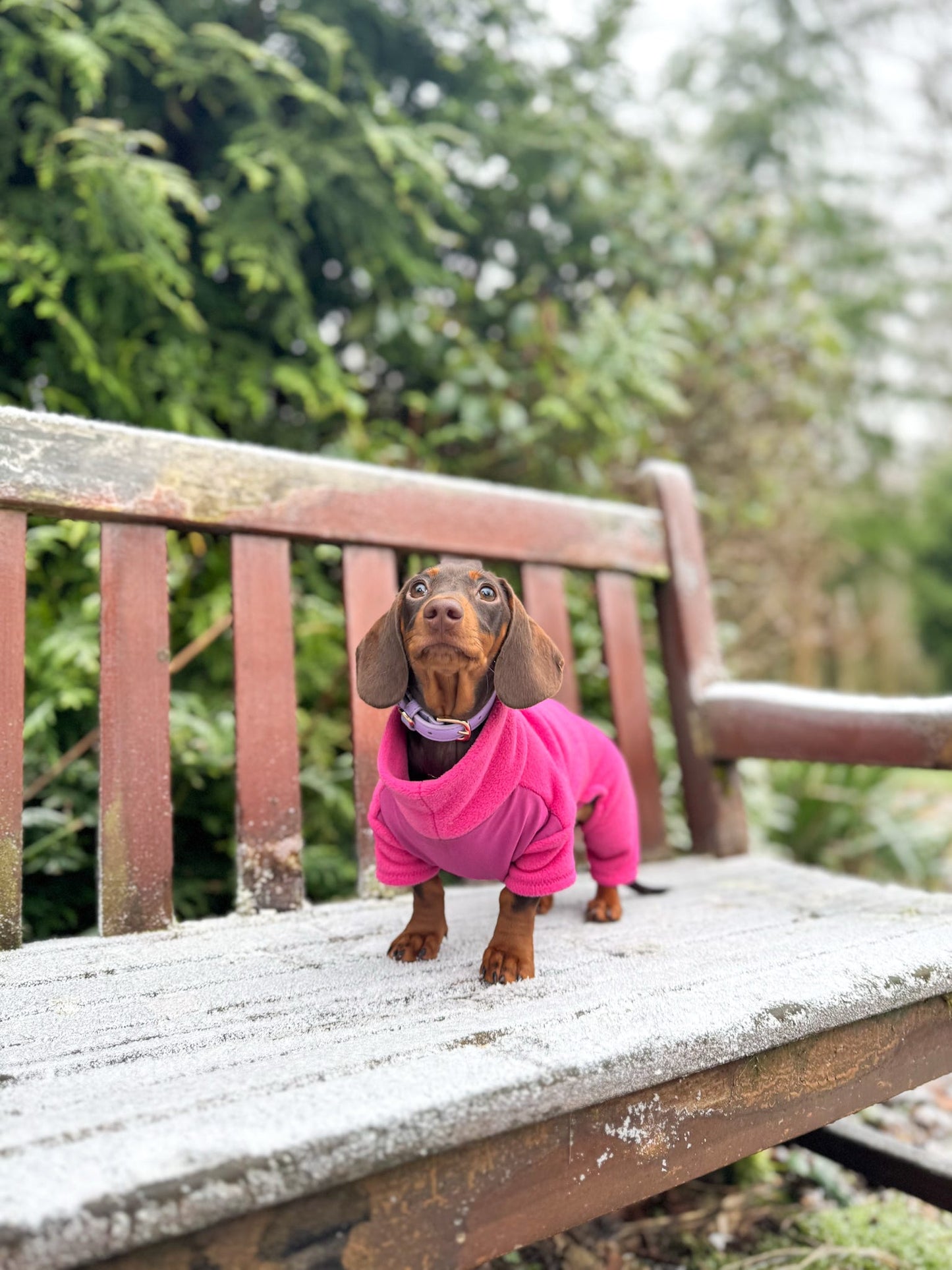 Cerise Pink 4 Leg Fleece Jumper