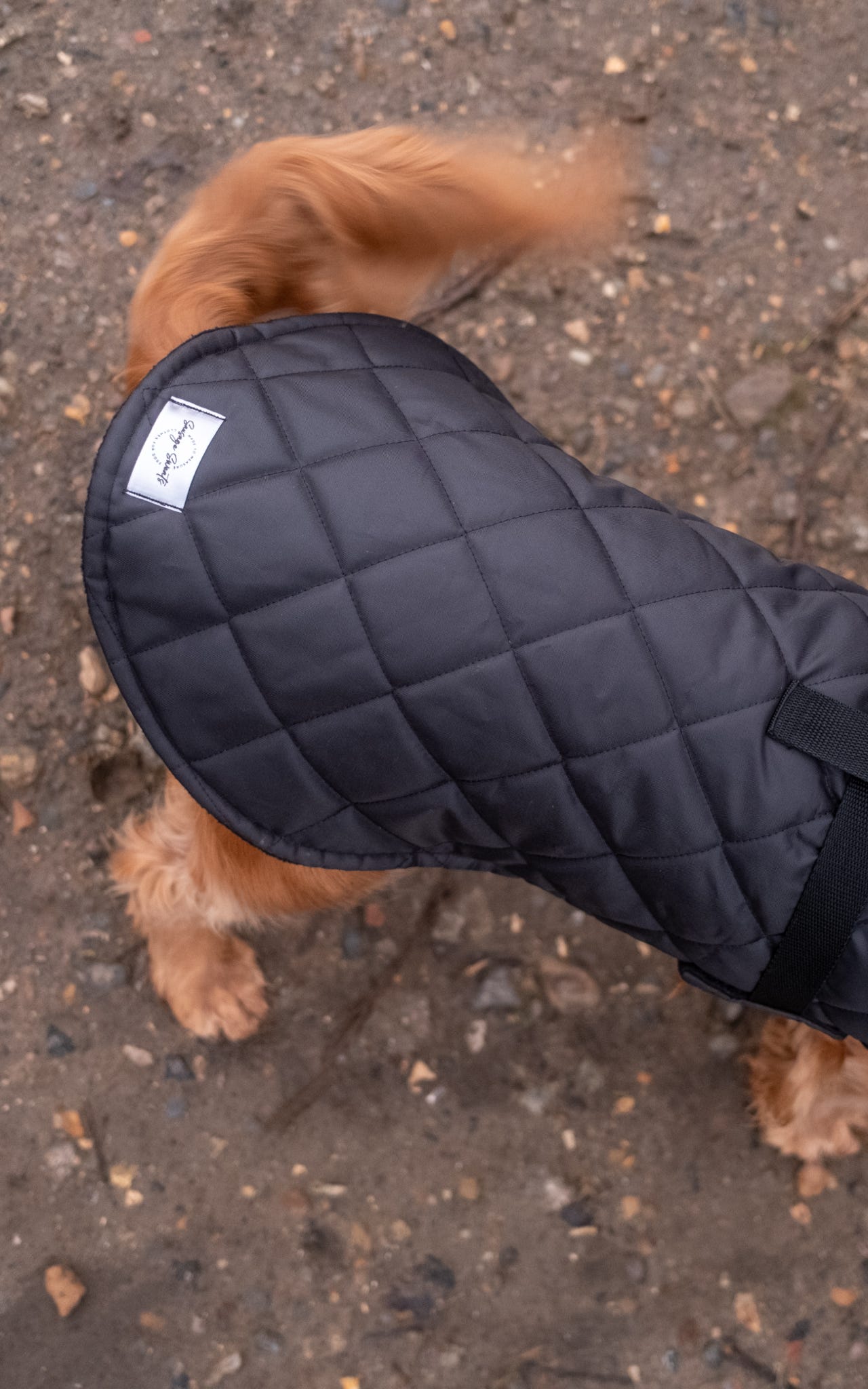 Black Quilted Full Tummy Coat with Fleece Lining