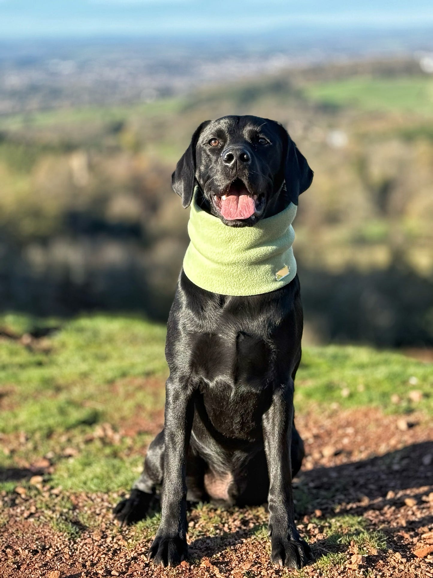 Pistachio Fleece Snood