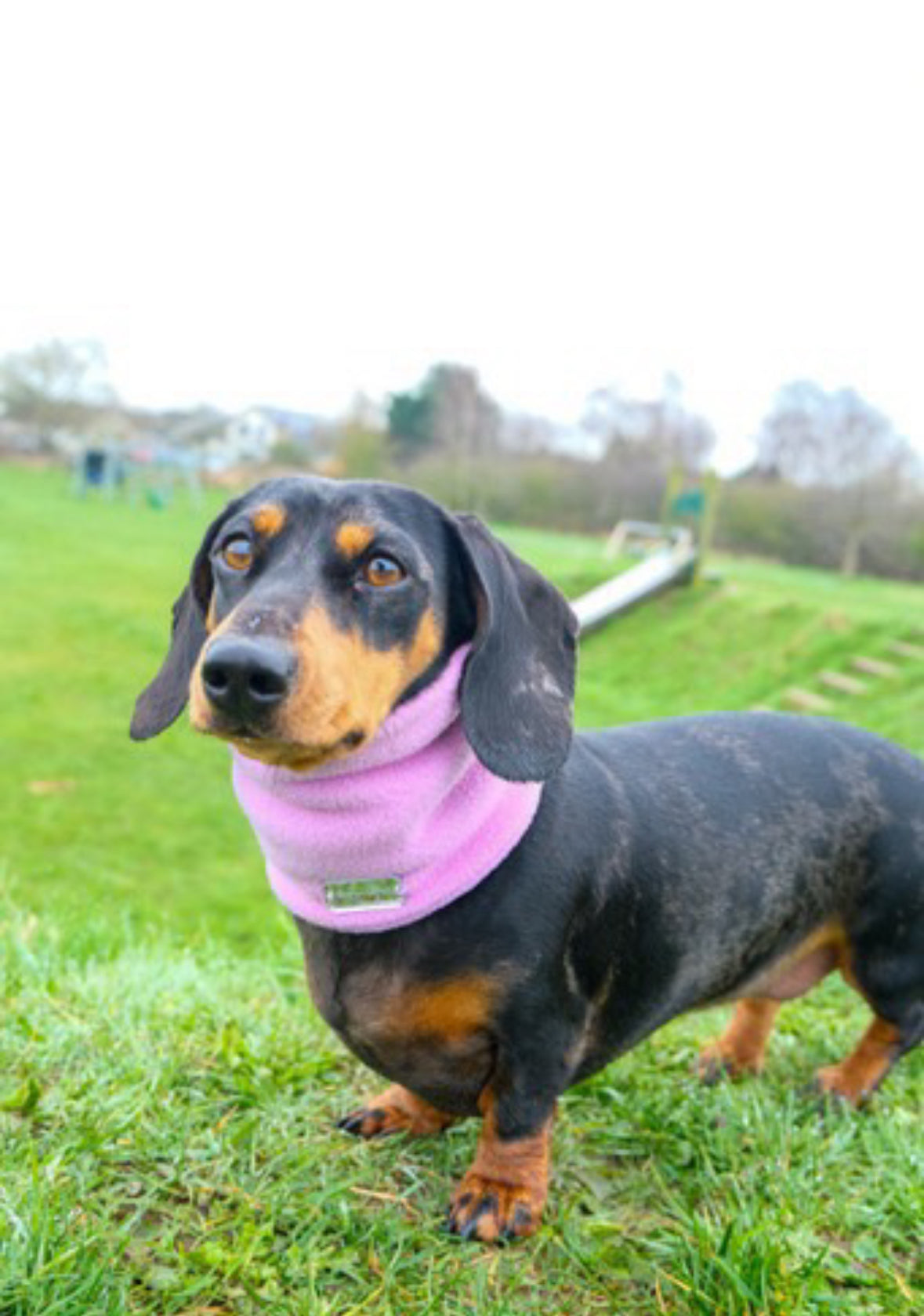 Lilac Fleece Snood