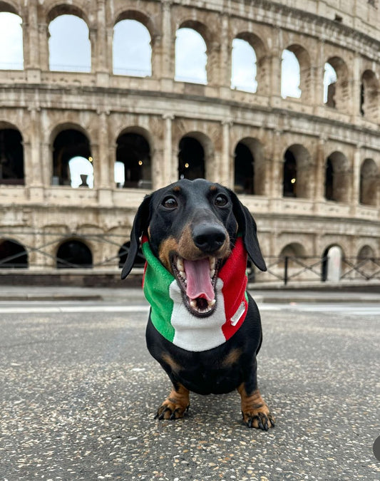 Italian flag Fleece Snood