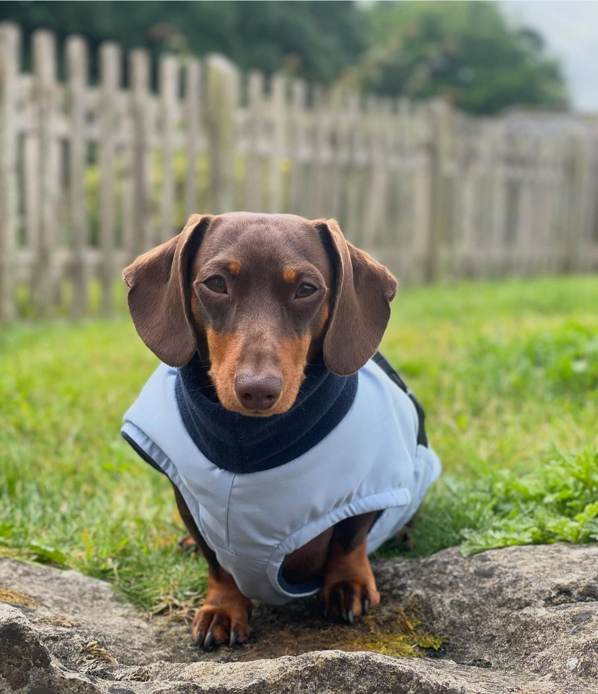 Sky Blue Full Tummy Waterproof Jacket with Fleece Lining