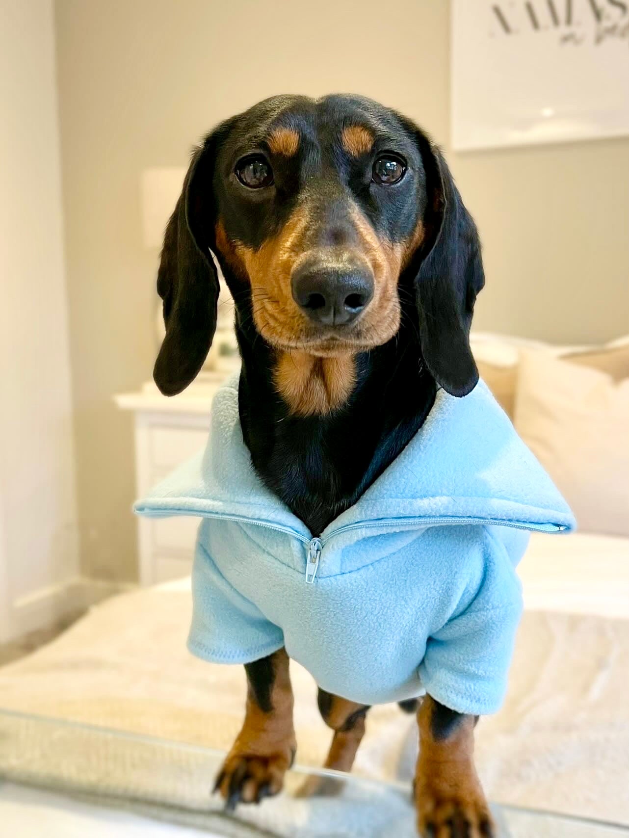 Sky Blue Quarter Zip Fleece Jumper