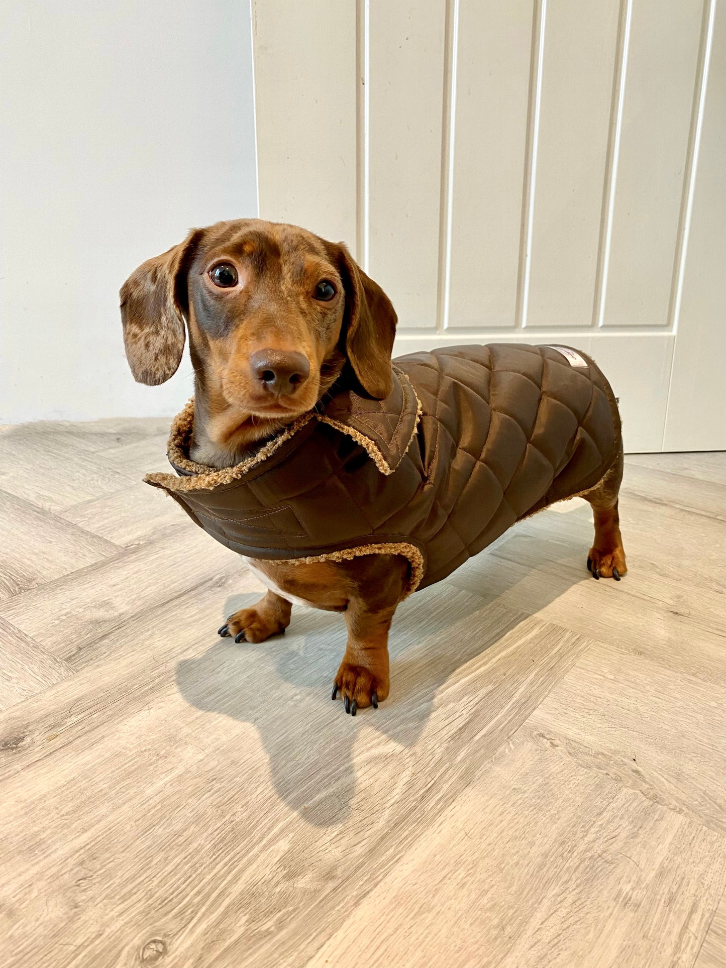 Chocolate Quilted Coat with Borg Lining