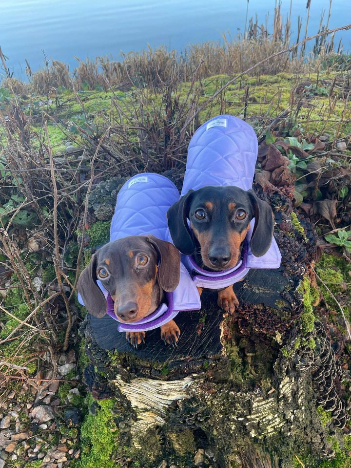 Lilac Quilted Coat with Borg Lining