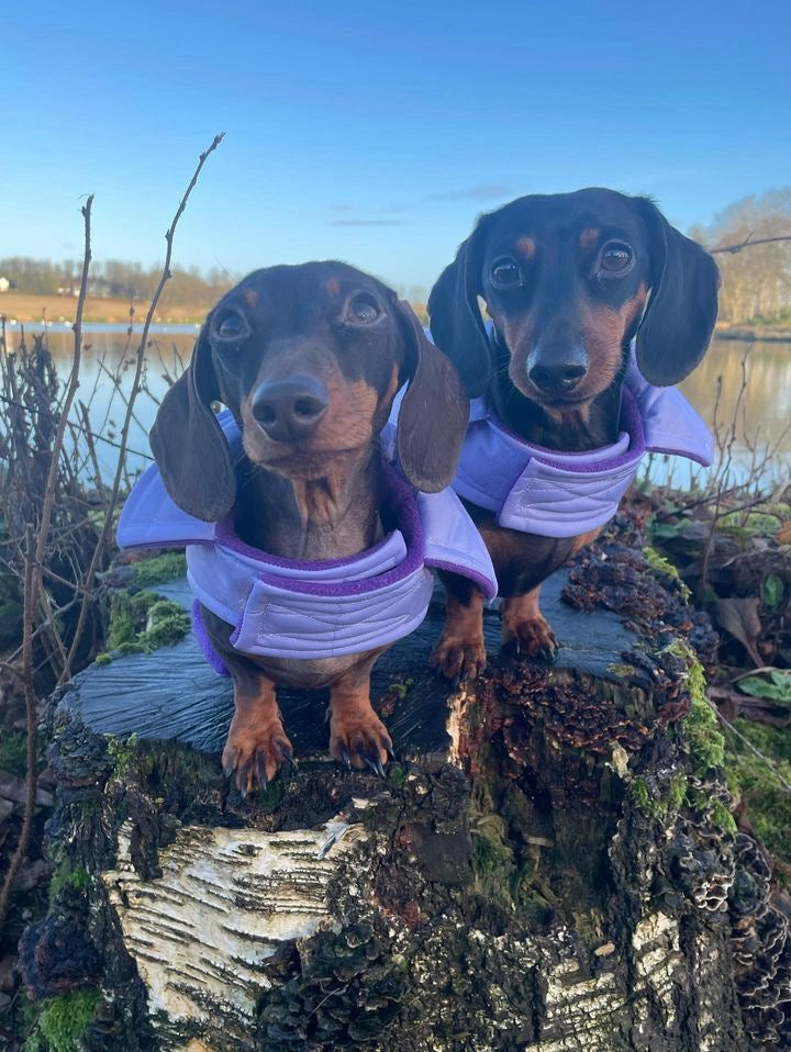 Lilac Quilted Coat with Fleece Lining