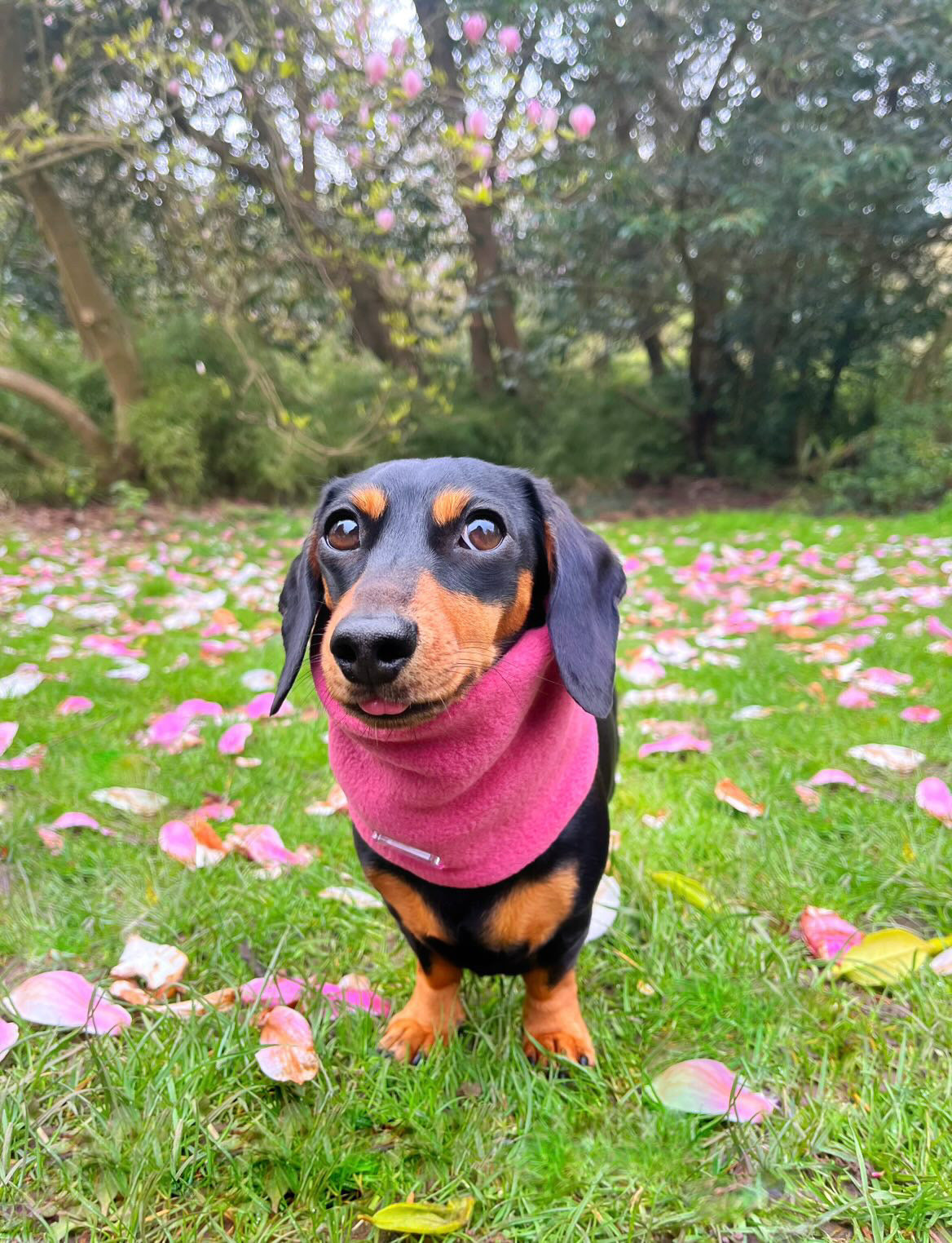 Raspberry Fleece Snood