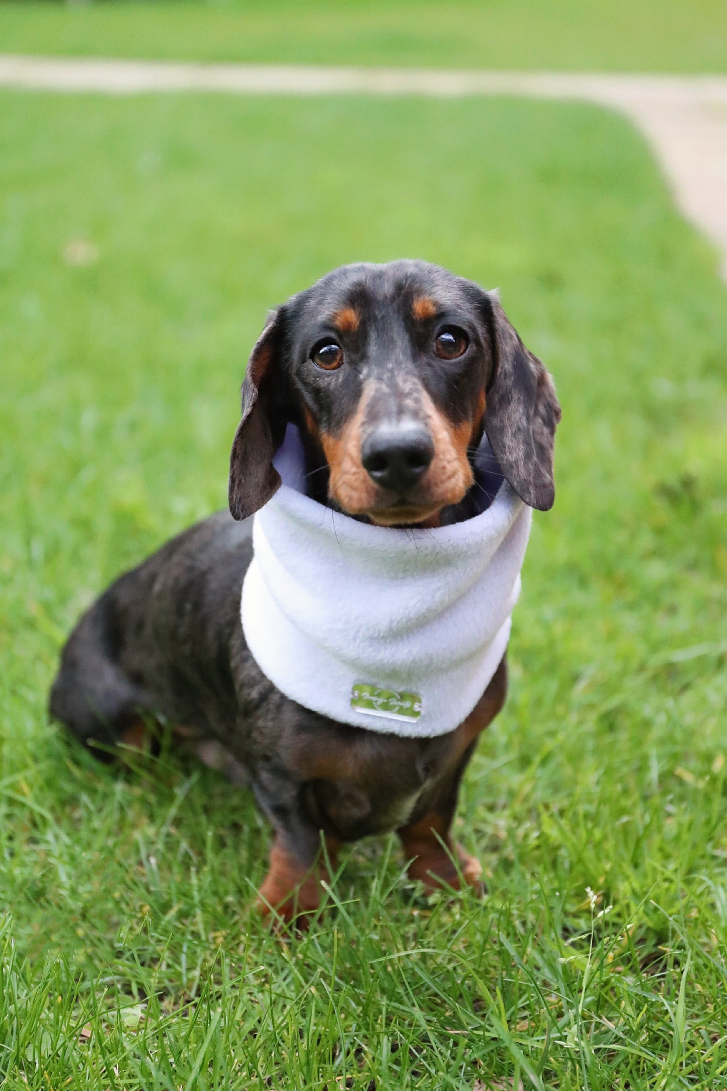 Bluebell Fleece Snood
