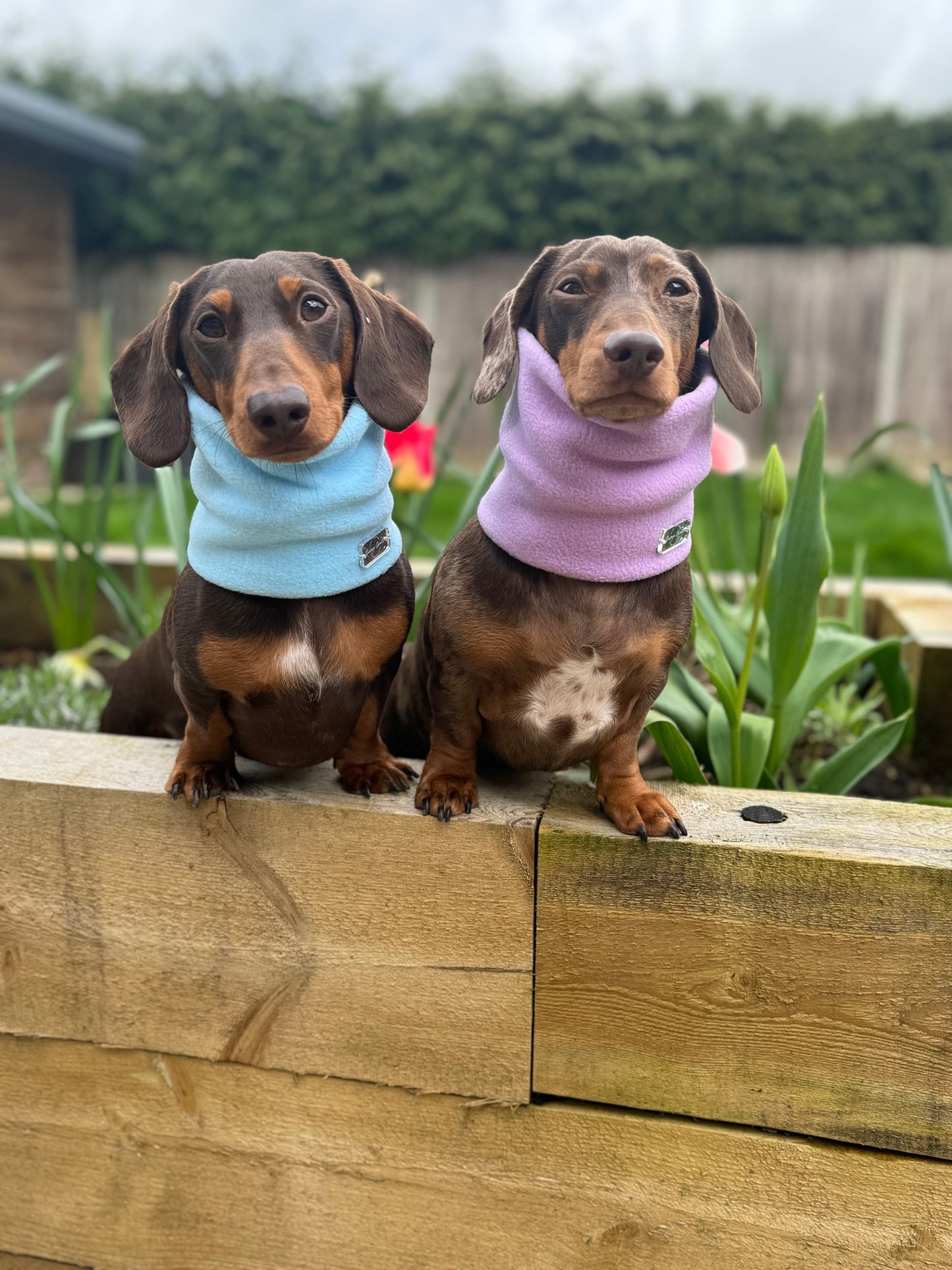 Sky Blue Fleece Snood