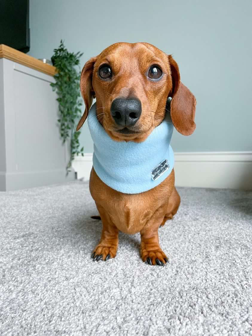 Sky Blue Fleece Snood