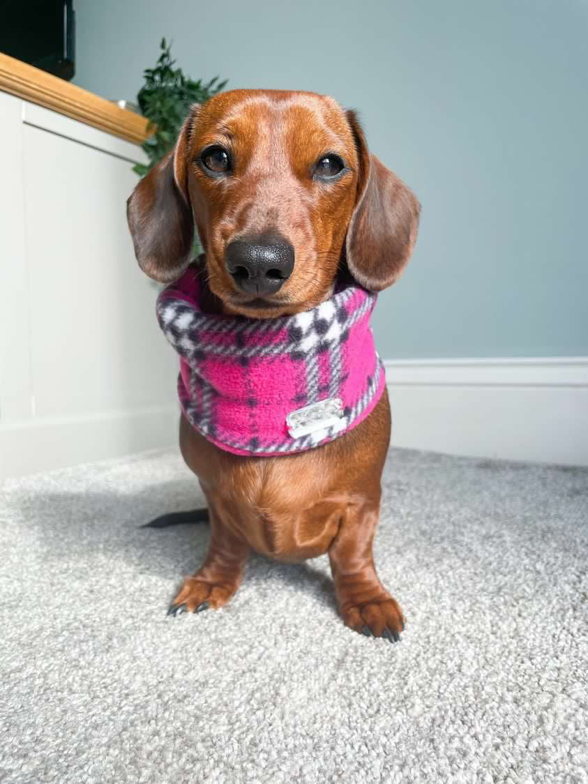 Pink Tartan Fleece Snood