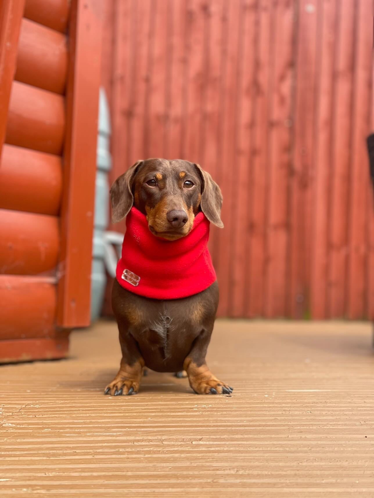 Red Fleece Snood