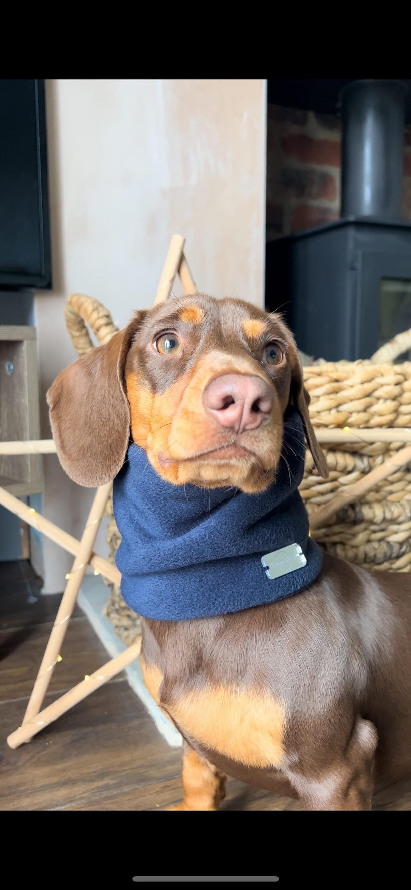 Navy Fleece Snood