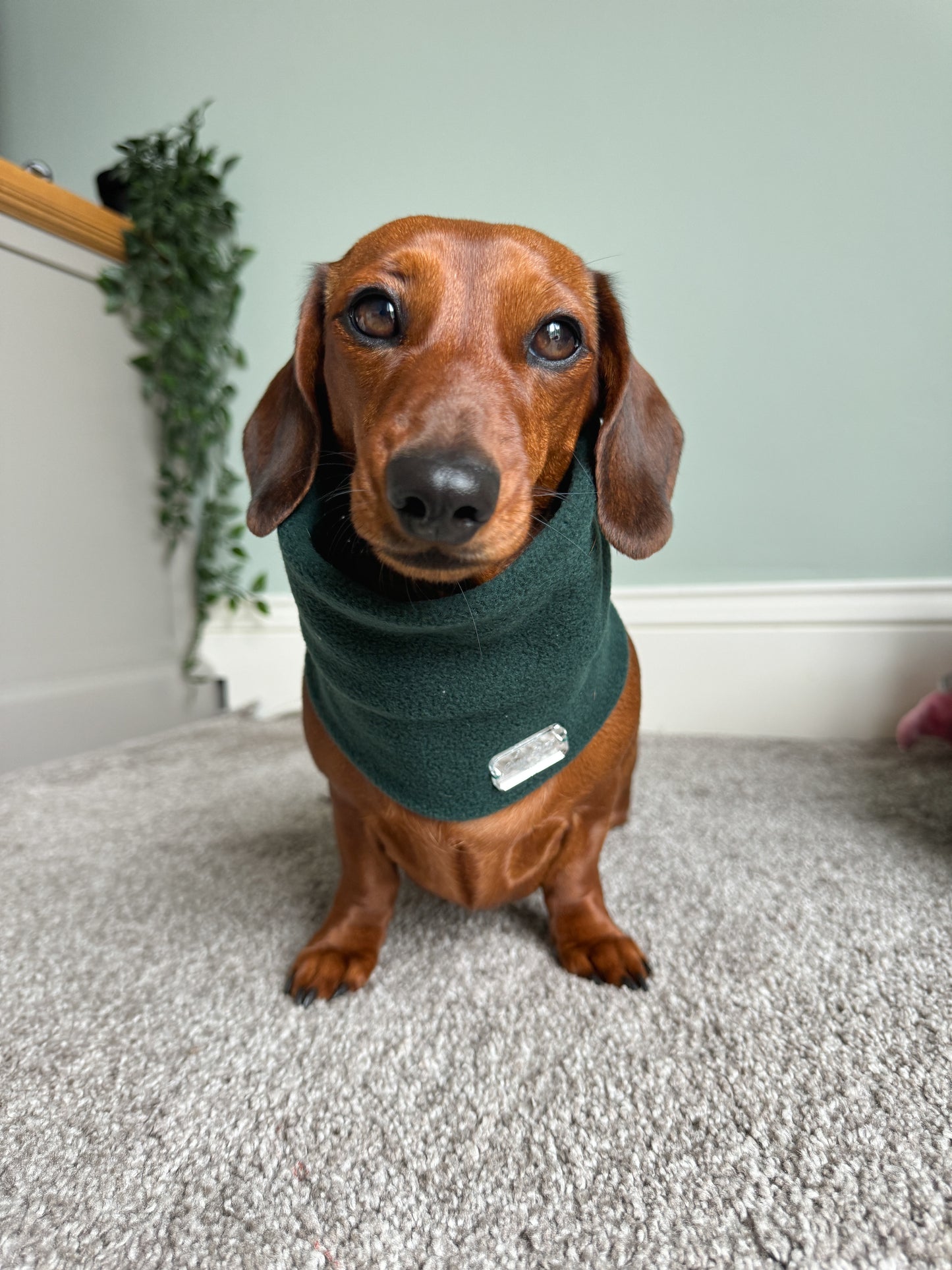 Dark Green Fleece Snood