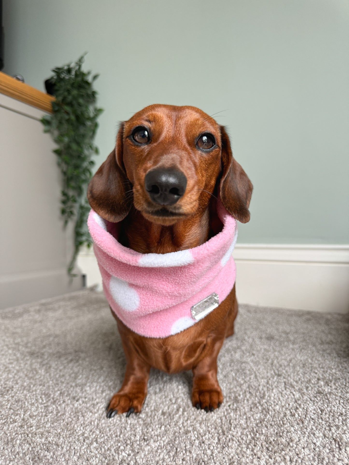 Love Pink Fleece Snood