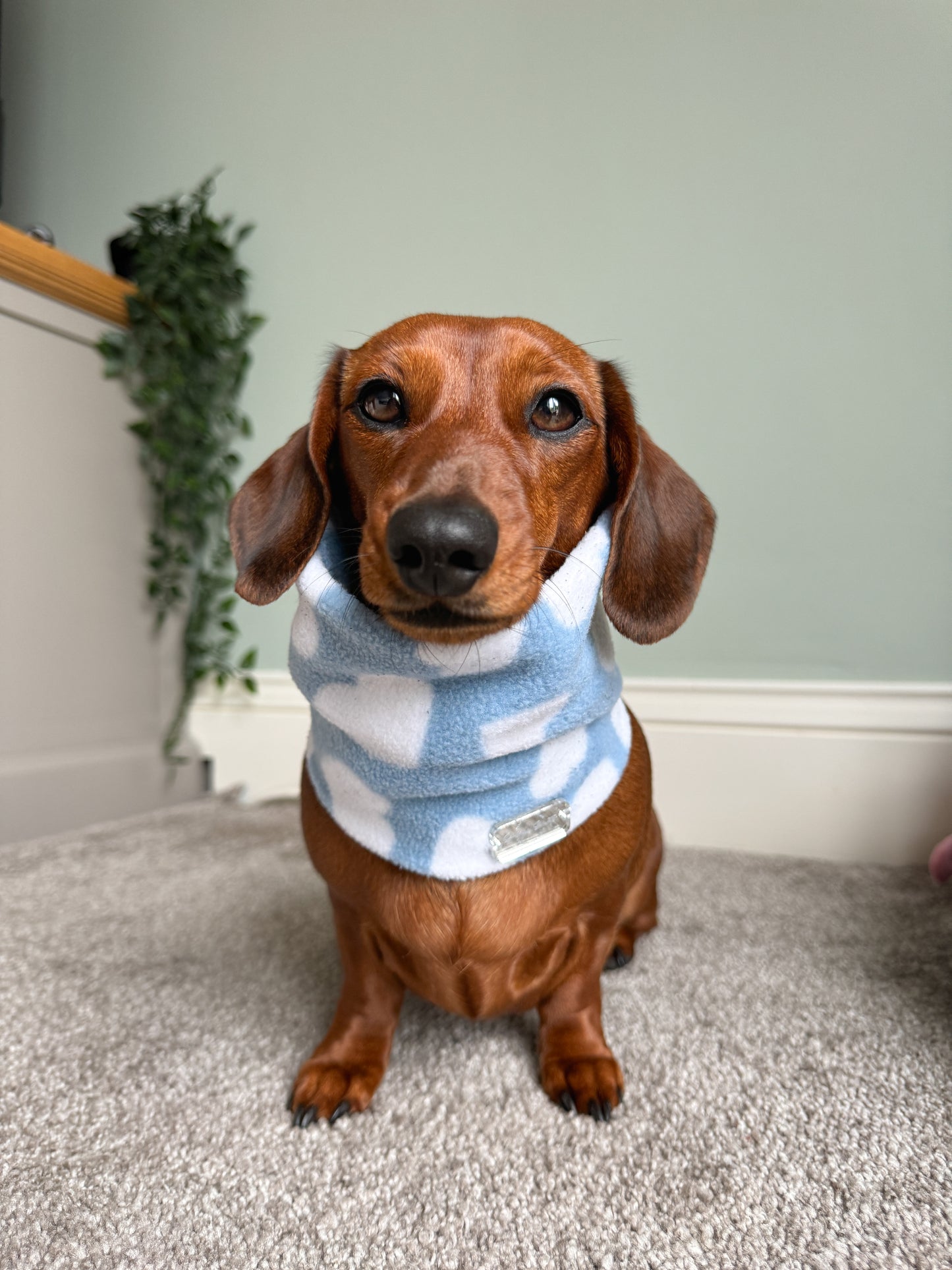 Love Blue Fleece Snood