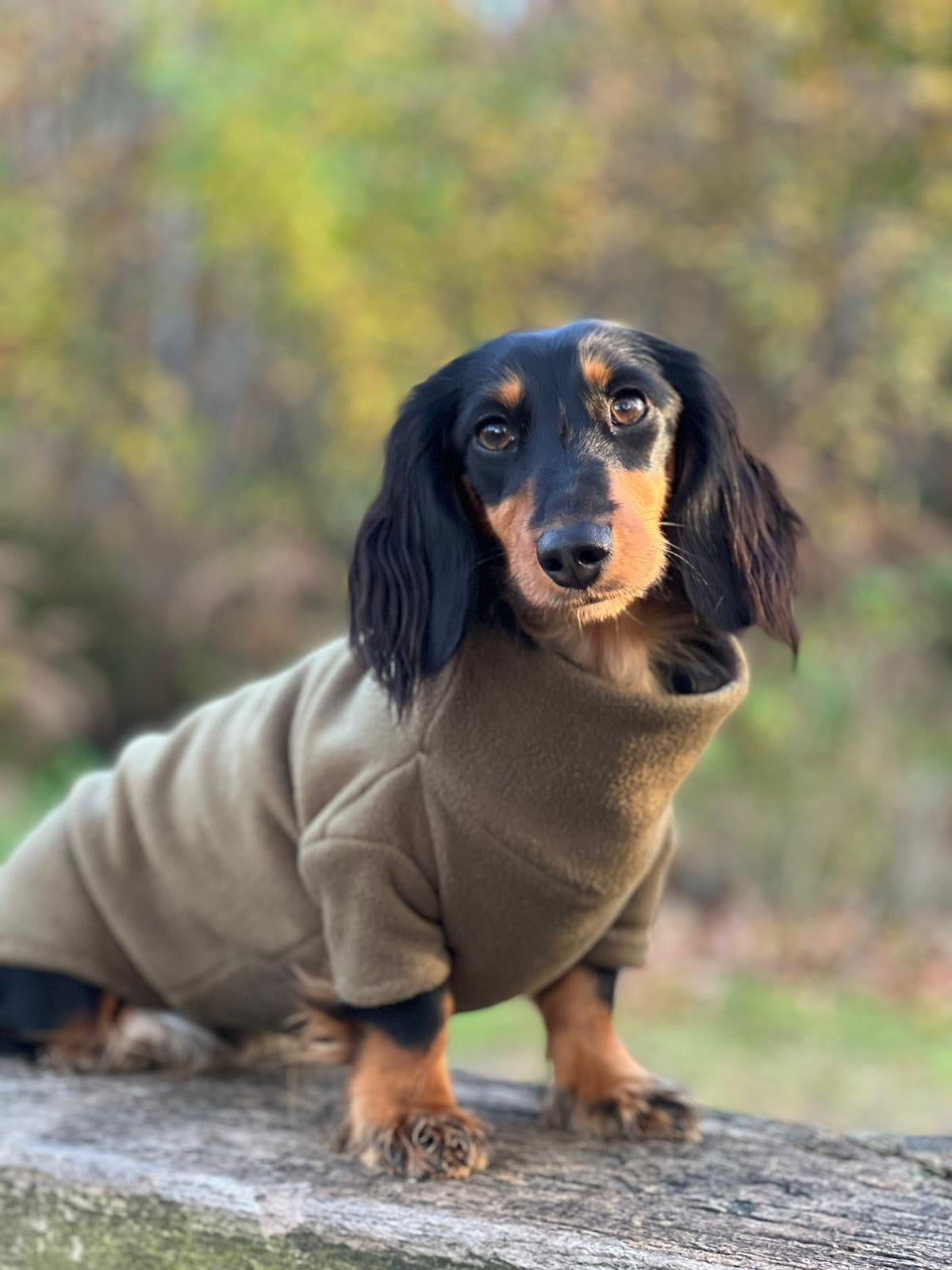 Khaki Fleece Jumper