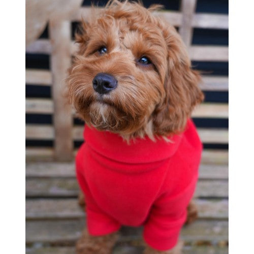 Red Fleece Jumper