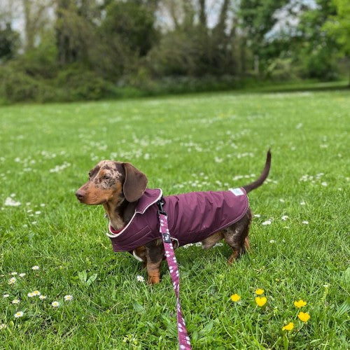 Wine Waterproof Jacket with Fleece Lining