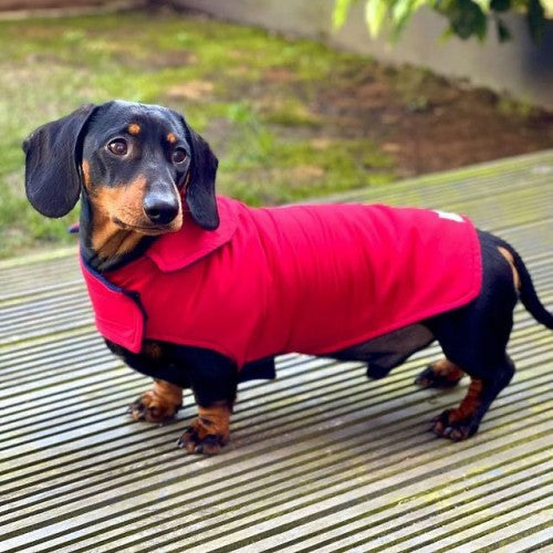 Red Waterproof Jacket with Fleece Lining