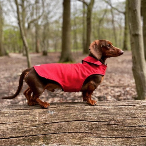 Red Waterproof Jacket with Fleece Lining