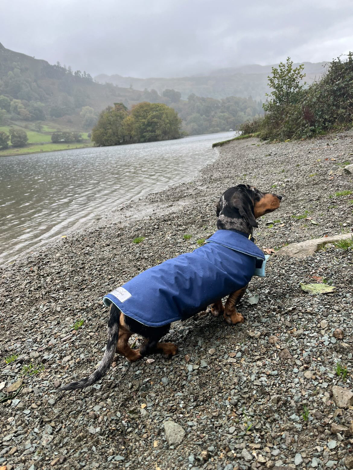 Navy Waterproof Jacket with Fleece Lining