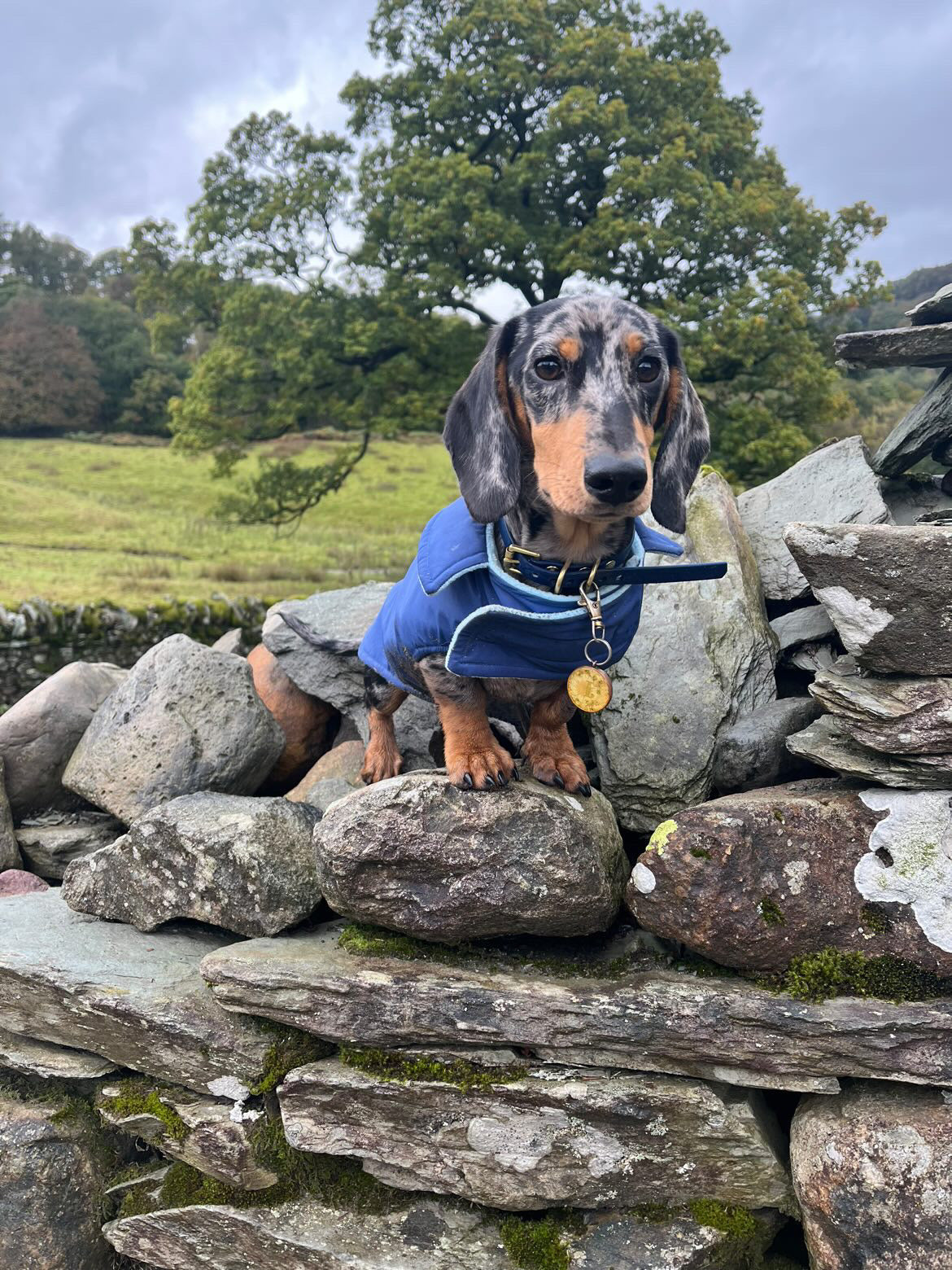 Navy Waterproof Jacket with Fleece Lining