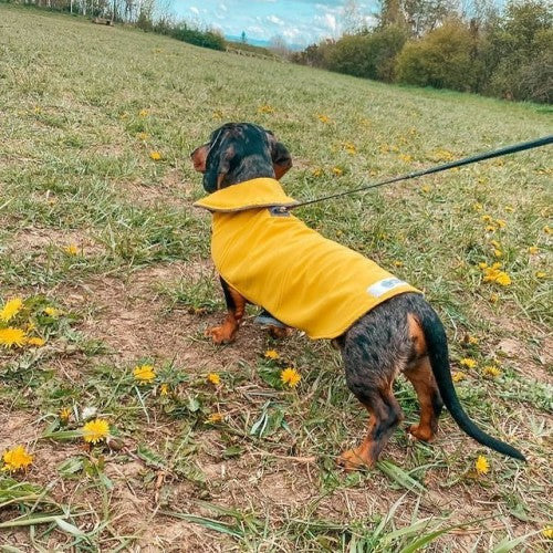 Yellow Waterproof Jacket with Fleece Lining