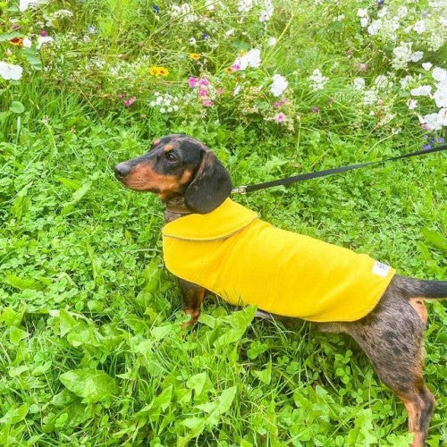 Yellow Waterproof Jacket with Fleece Lining