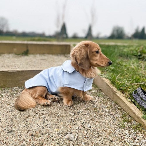 Sky Blue Waterproof Jacket with Fleece Lining