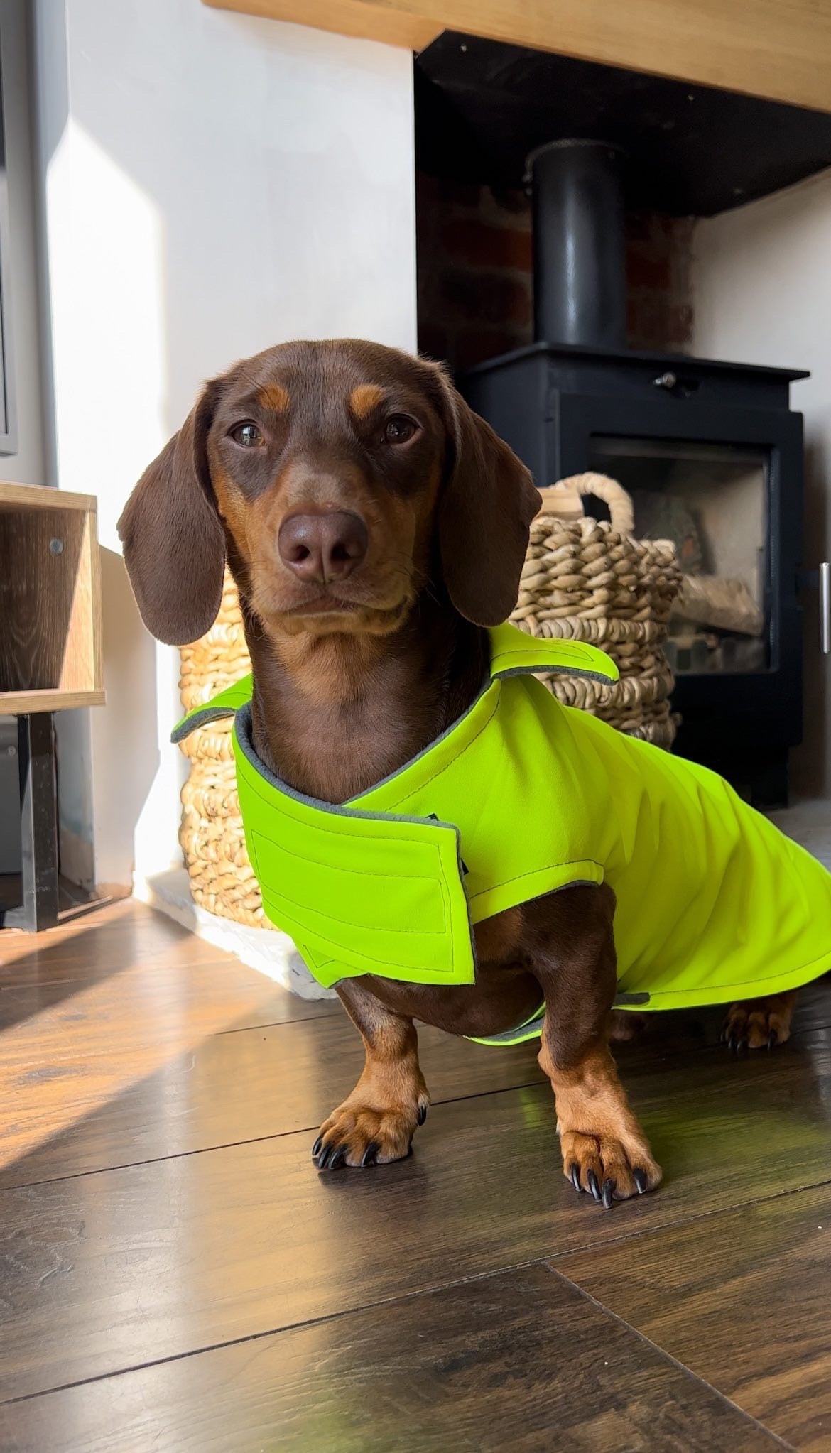 Florescent Yellow Waterproof Jacket with Fleece Lining