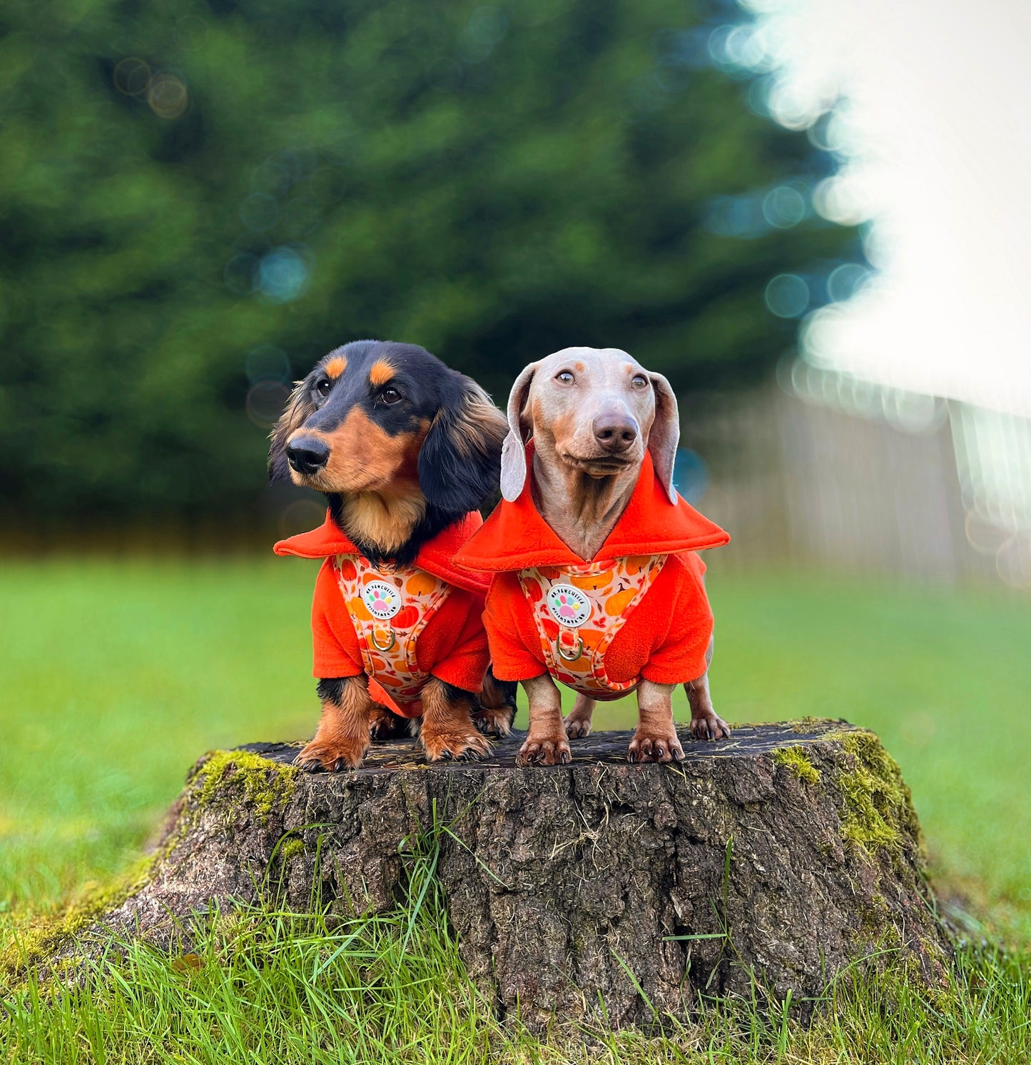 Orange Quarter Zip Fleece Jumper