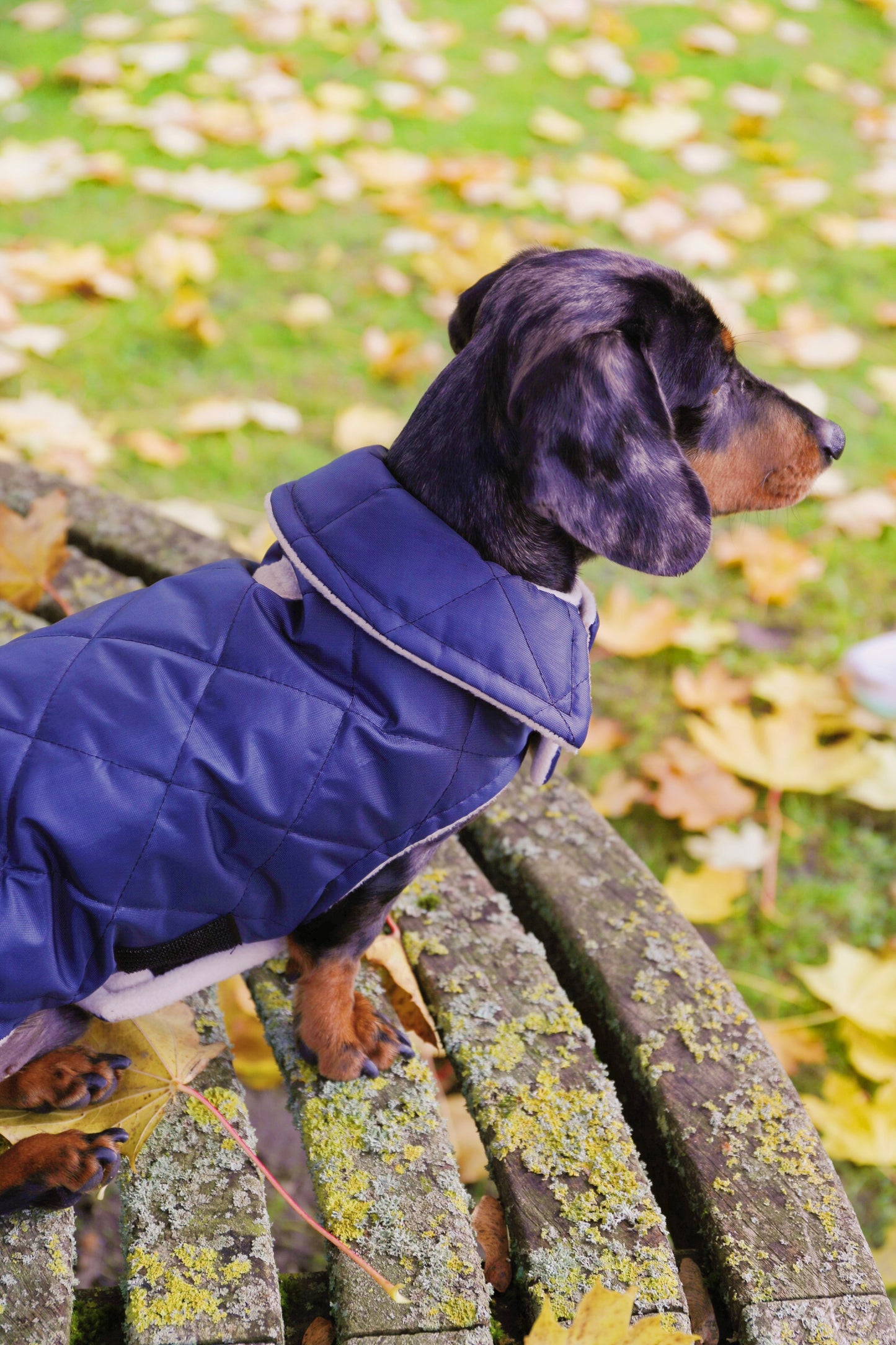 Navy Quilted Coat with Fleece Lining